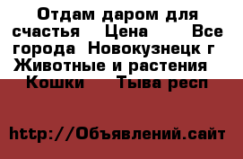 Отдам даром для счастья. › Цена ­ 1 - Все города, Новокузнецк г. Животные и растения » Кошки   . Тыва респ.